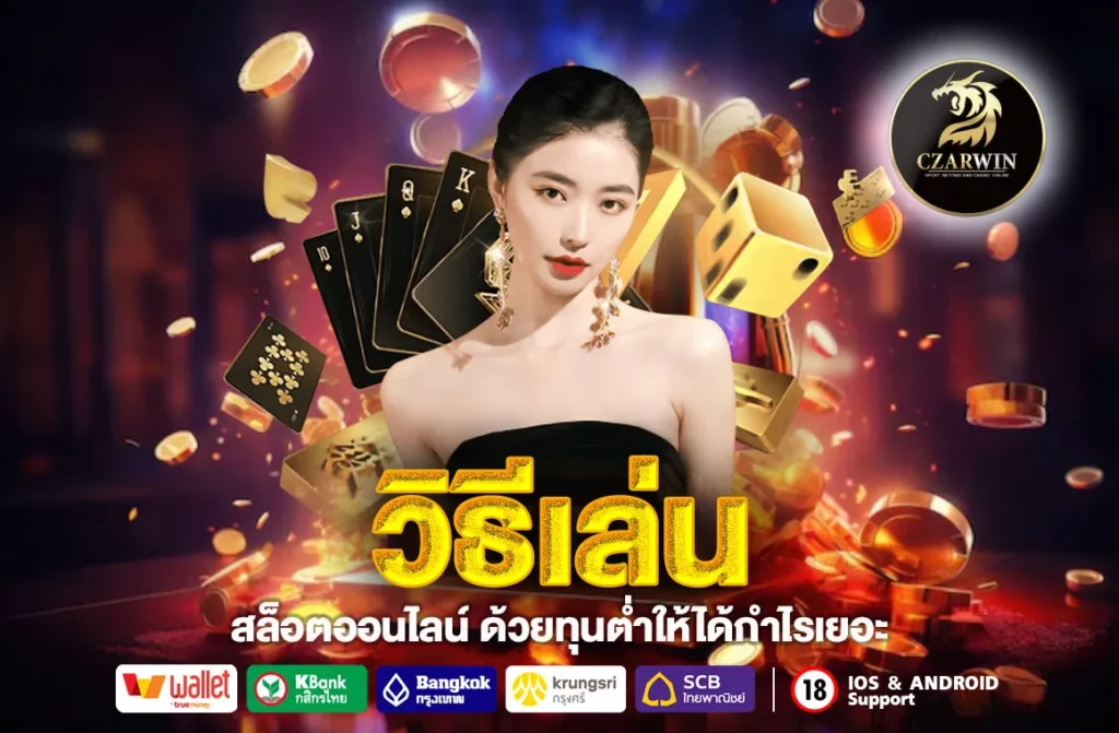 วิธีเล่น