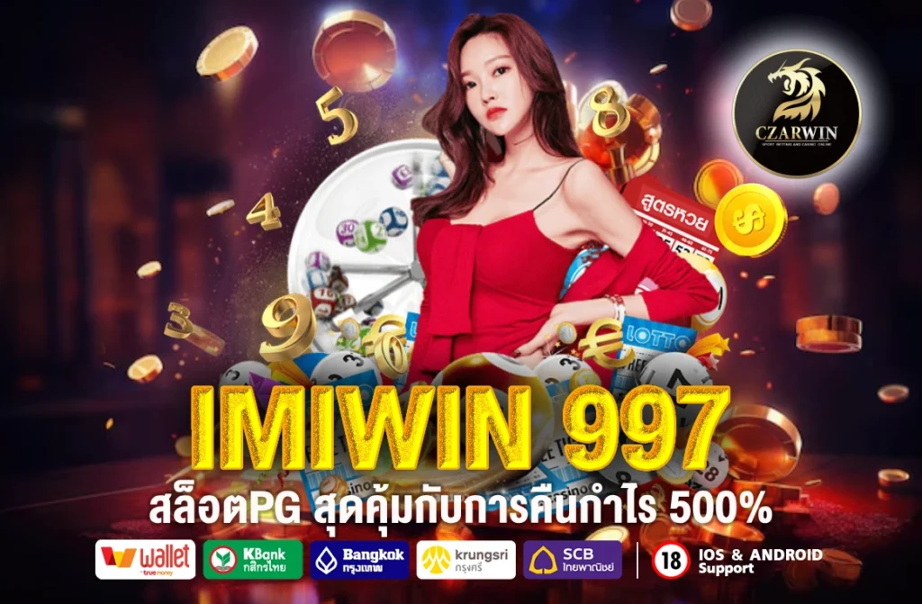 IMIWIN 997