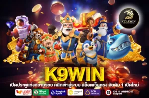 K9WIN