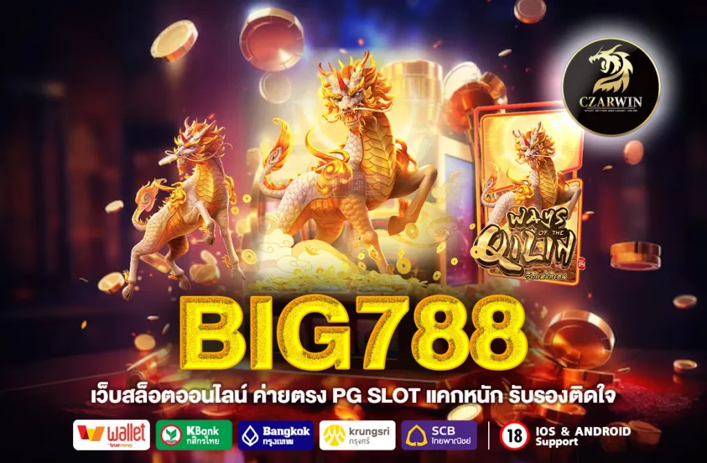 BIG788